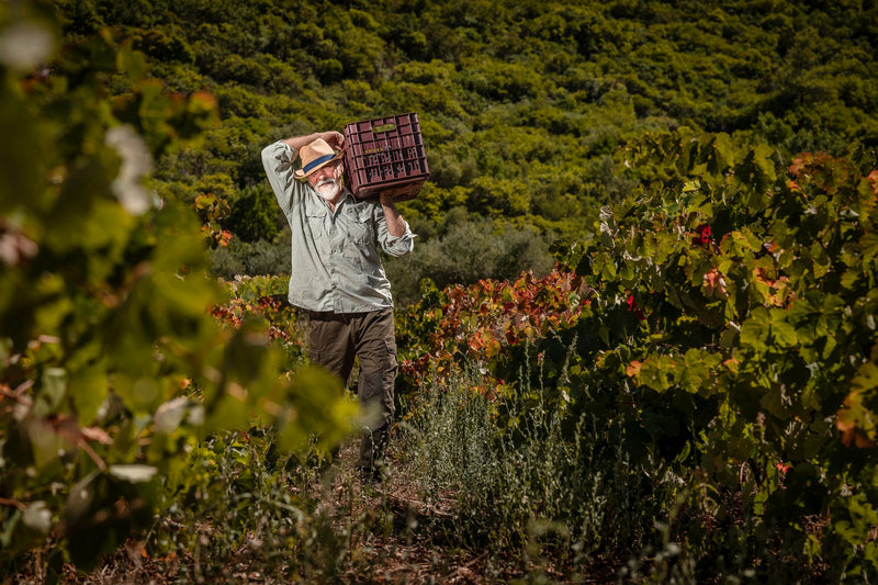 Goumas Winery