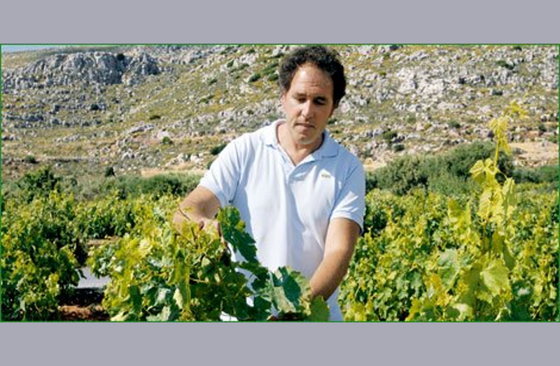 Economou - Sitia Kreta