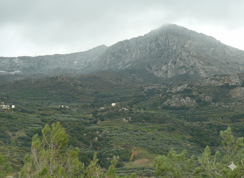 Economou - Sitia Kreta