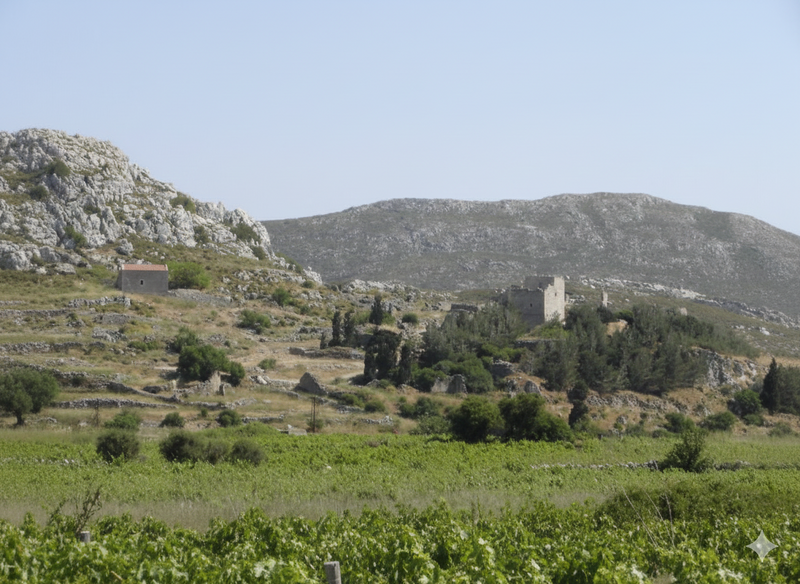 Economou - Sitia Kreta
