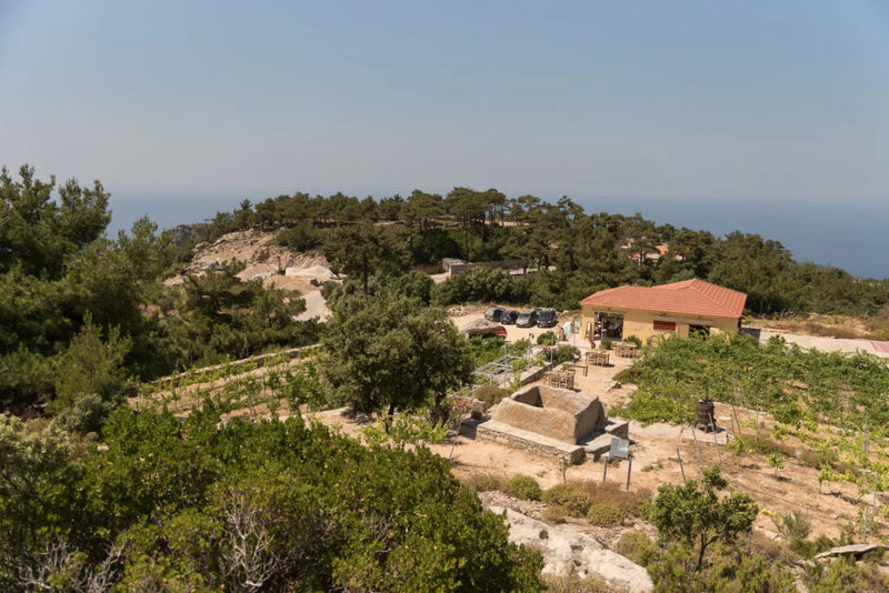 Afianes - Ikaria