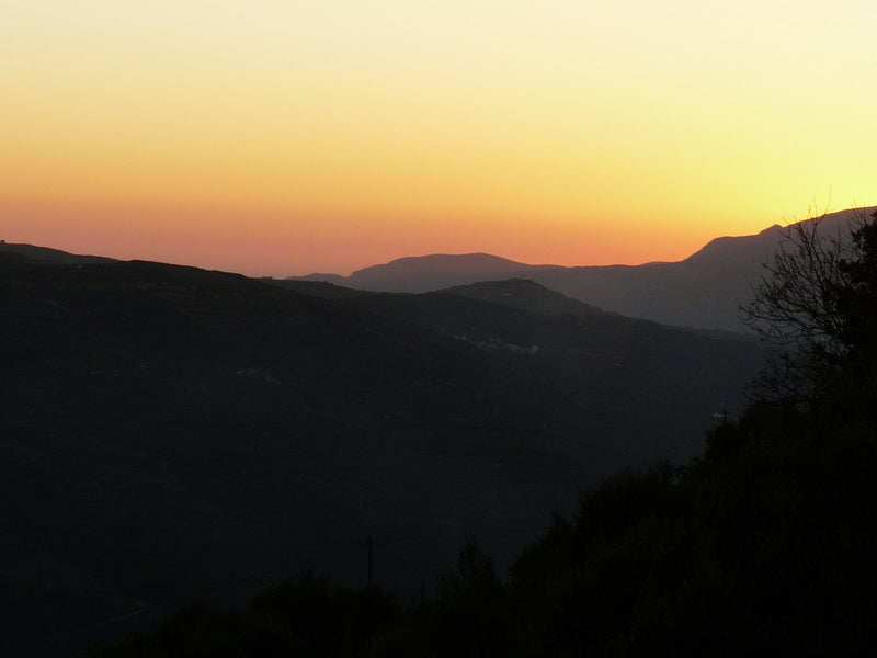 Economou - Sitia Kreta