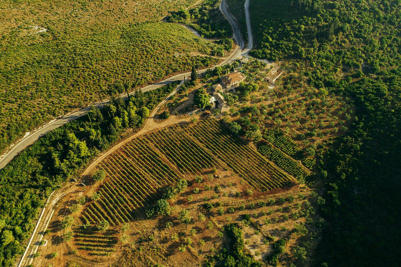 Goumas Winery