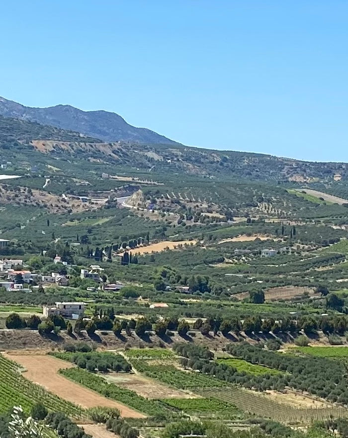 Zidianakis - Kreta Peza
