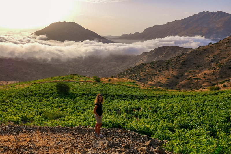 Malihin - Melampes Kreta