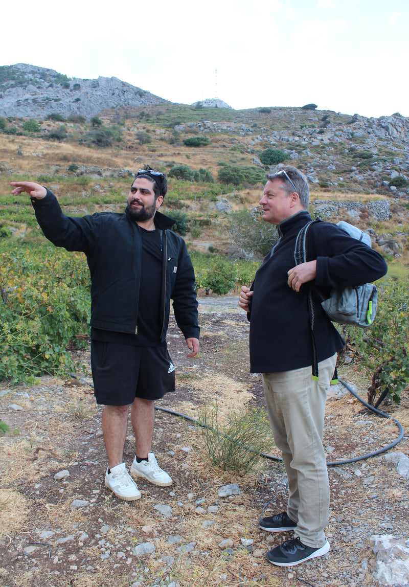 Ampelourgein - Lasithi Kreta