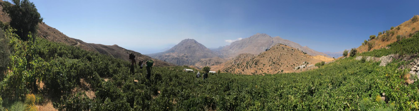 Malihin - Melampes Kreta