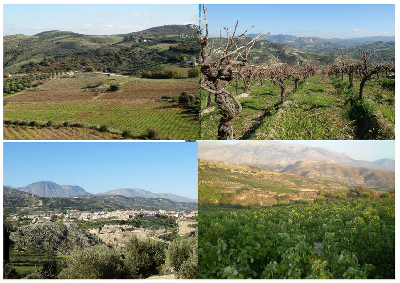 Idaia - Kreta Dafnes