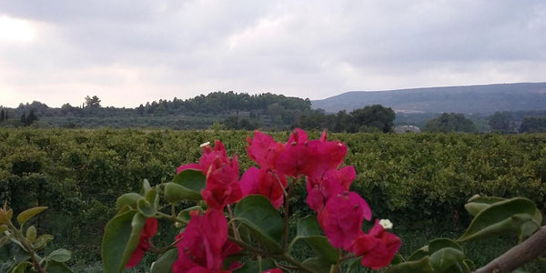 Foivos - Kefalonia