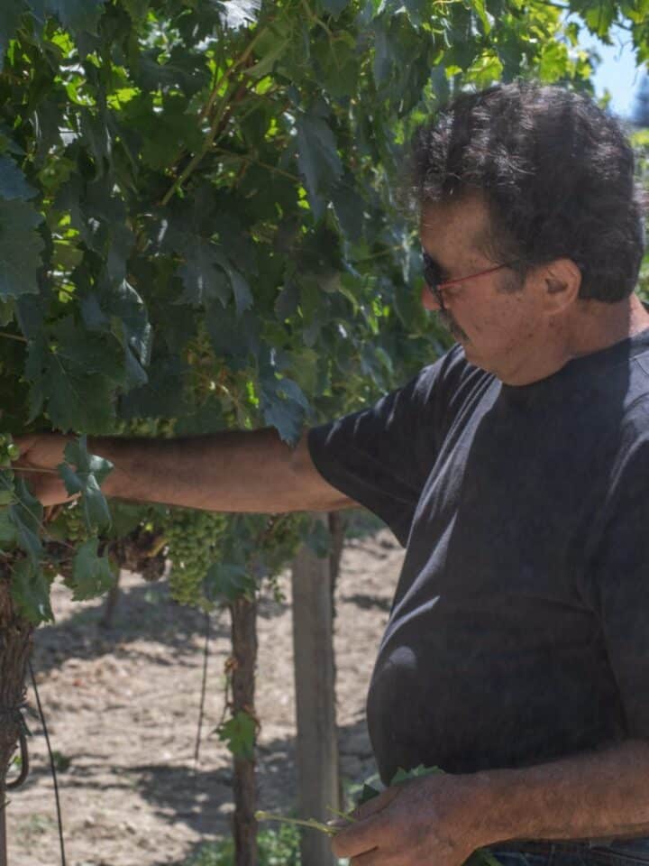 Zidianakis - Kreta Peza