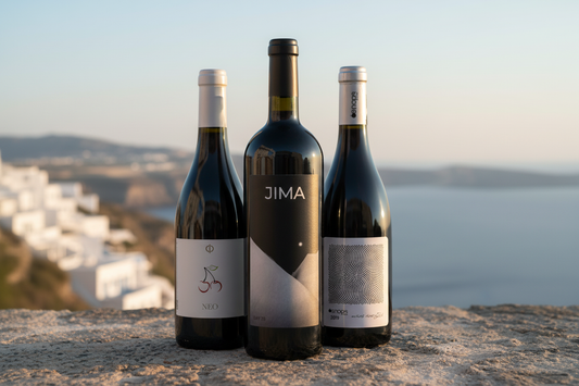 Gruppe 1 – Jima, Neo, Oenops
